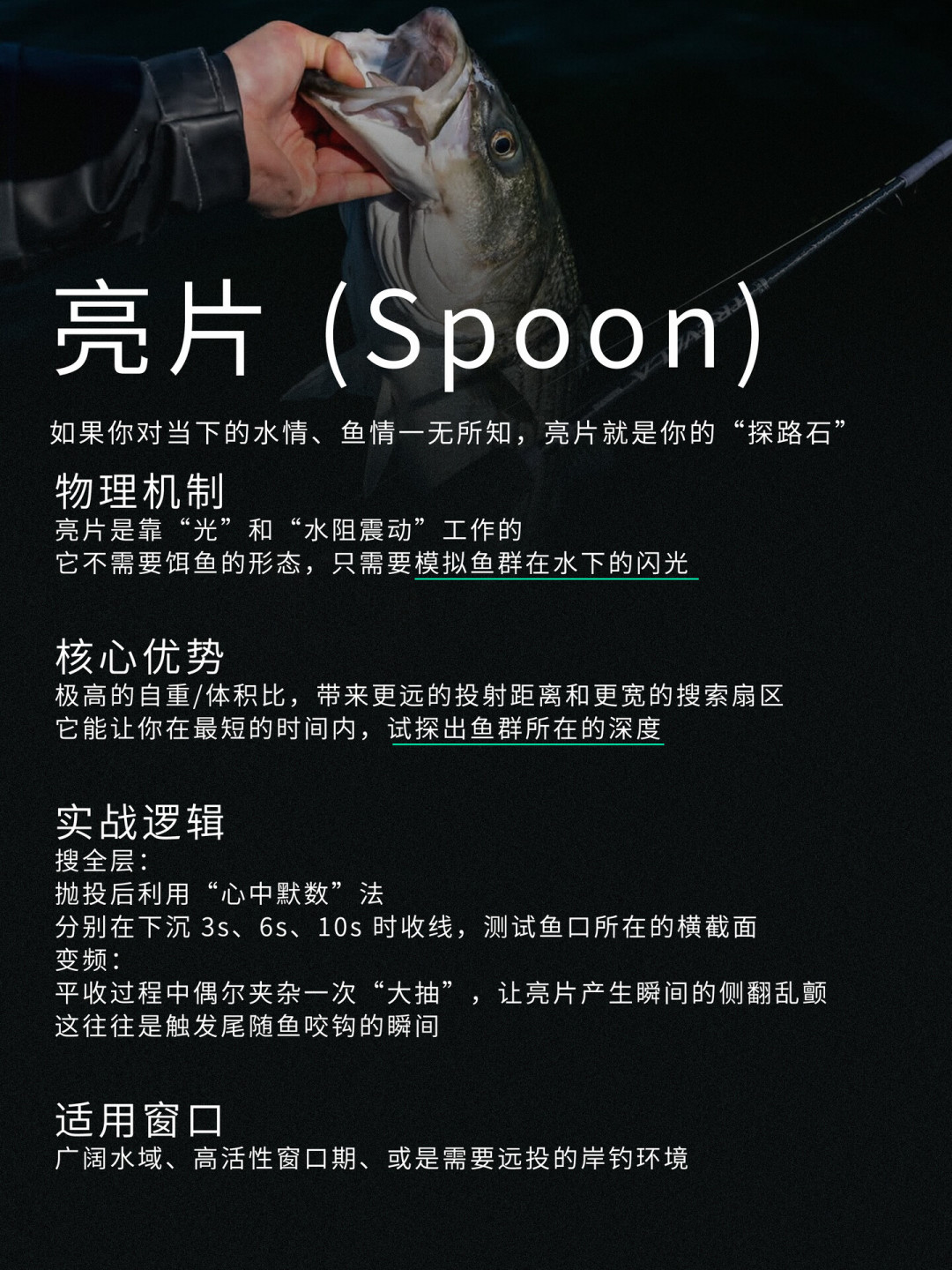 贵饵更容易中鱼吗?翻完全网几十篇挂底帖和选饵攻略,秋天第一盒路亚饵,60块就够开工