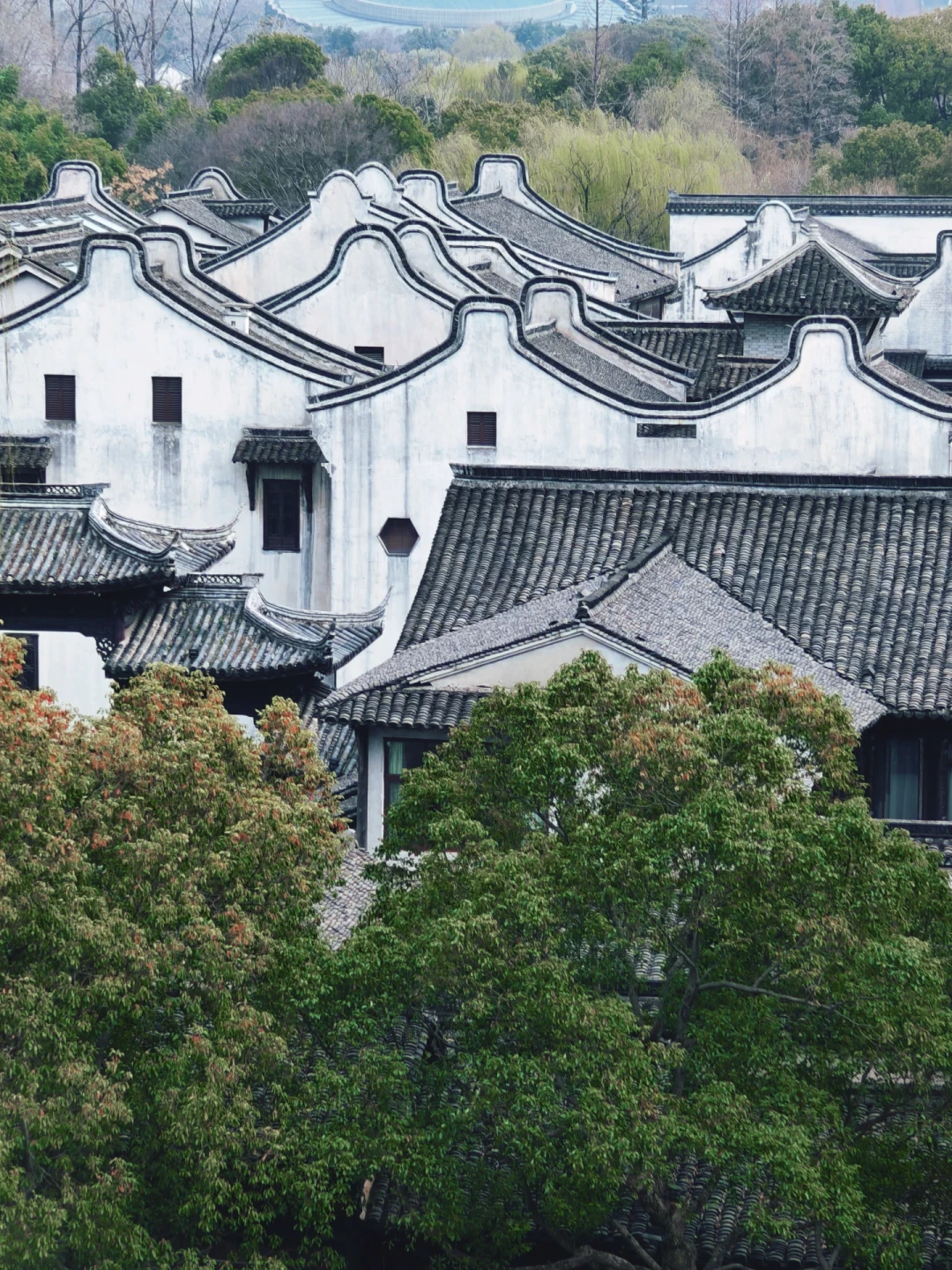 同一套汉服妆造,有人花80有人花699:乌镇旅拍真实价位与避坑梳理