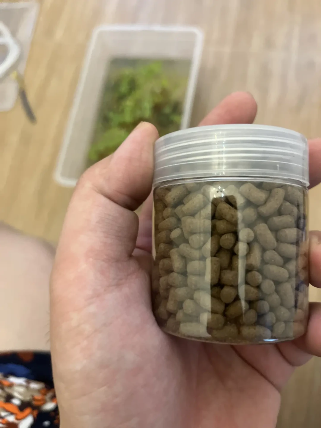 龟的贴秋膘季,哪袋粮值得买?翻遍三个平台的龟友实测口碑,9个主流品牌和三种买法