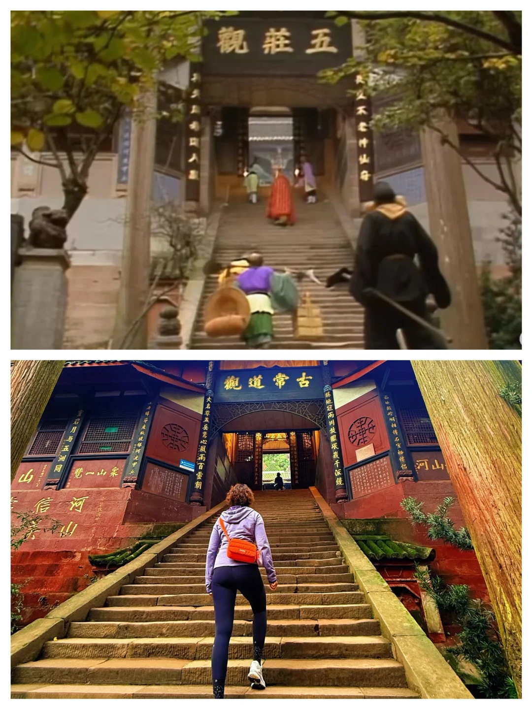 打卡“猴哥母校”怎么去:86版《西游记》粉的青城山-都江堰一日游,门票、机位、避坑都算清了