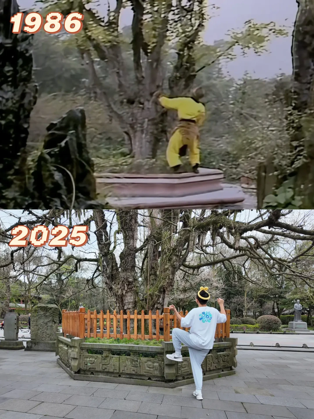 打卡“猴哥母校”怎么去:86版《西游记》粉的青城山-都江堰一日游,门票、机位、避坑都算清了