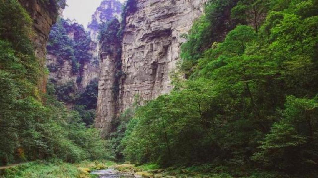 世遗大会闭幕不到10天敖德萨又挨炸:濒危名录上的58个地方,说明世界遗产金字招牌不是终身的