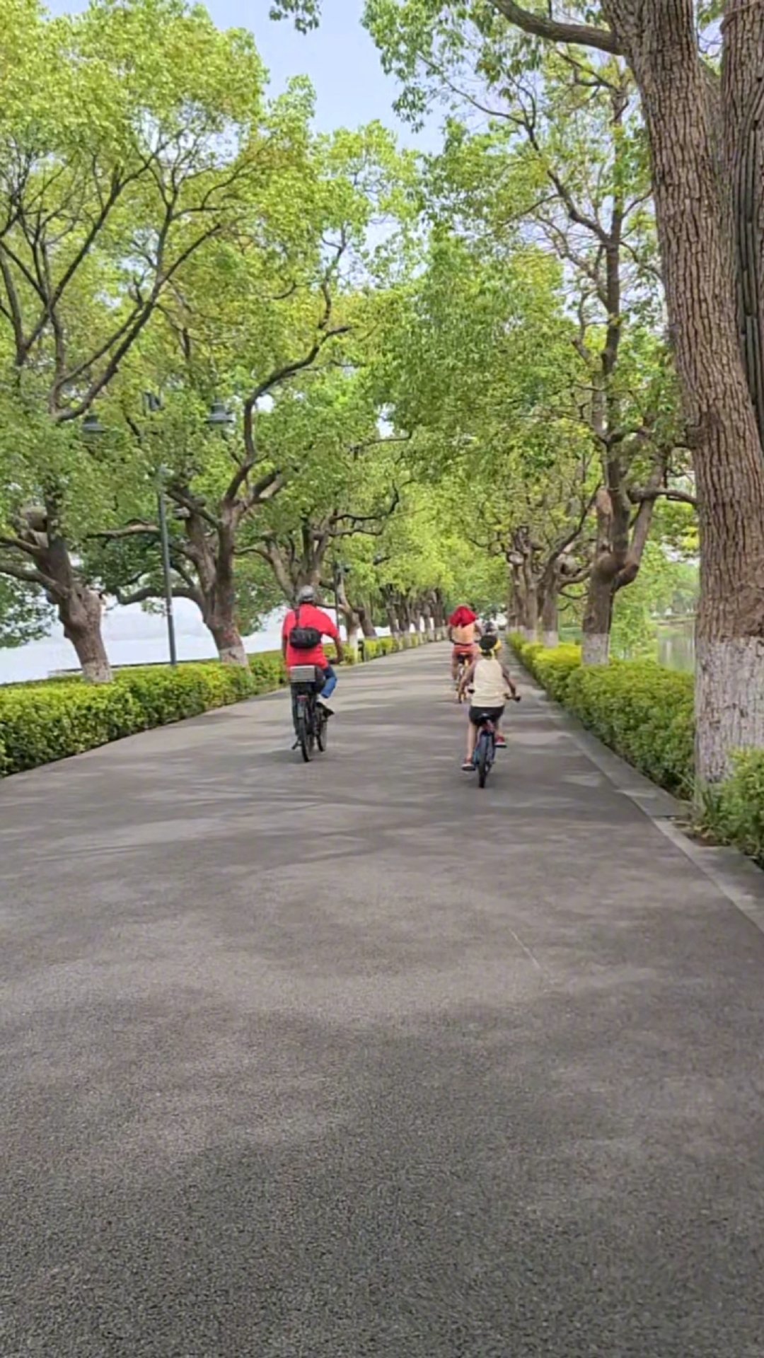 绿道骑行撞了人,骑在骑行道也不一定免责:翻完判决和各地办法,我整理了绿道限速表和避坑清单