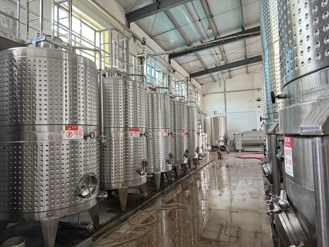 国产葡萄酒产量跌92%,宁夏却拿下2200多项奖:百元档的酒庄酒,值得试一次