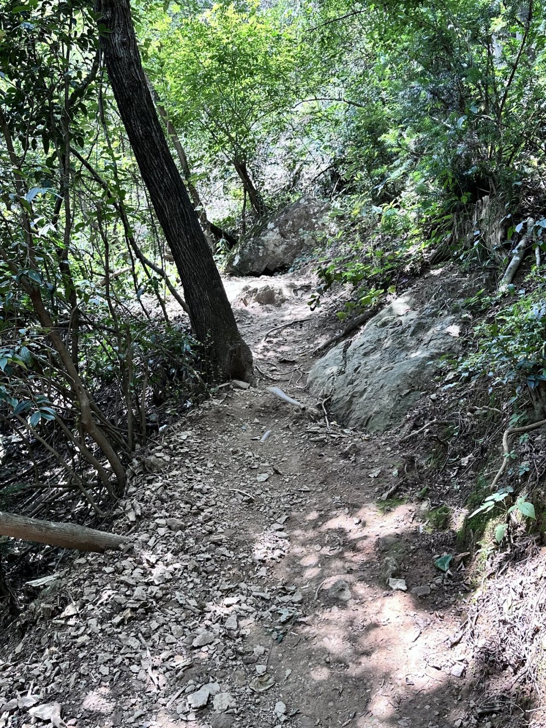 8月才过半,已有至少7拨爬山人被“救”下山:他们出发前都犯了同一个错