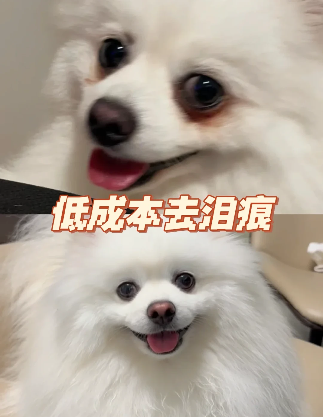 泪痕擦不干净？翻了四个平台30多篇经验帖：90%的人顺序搞错了