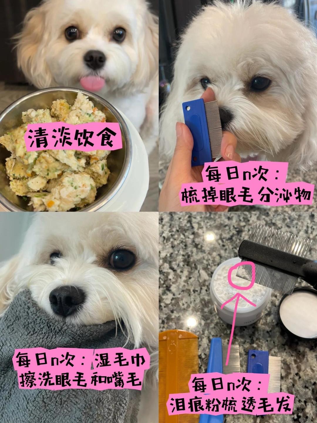 泪痕擦不干净？翻了四个平台30多篇经验帖：90%的人顺序搞错了
