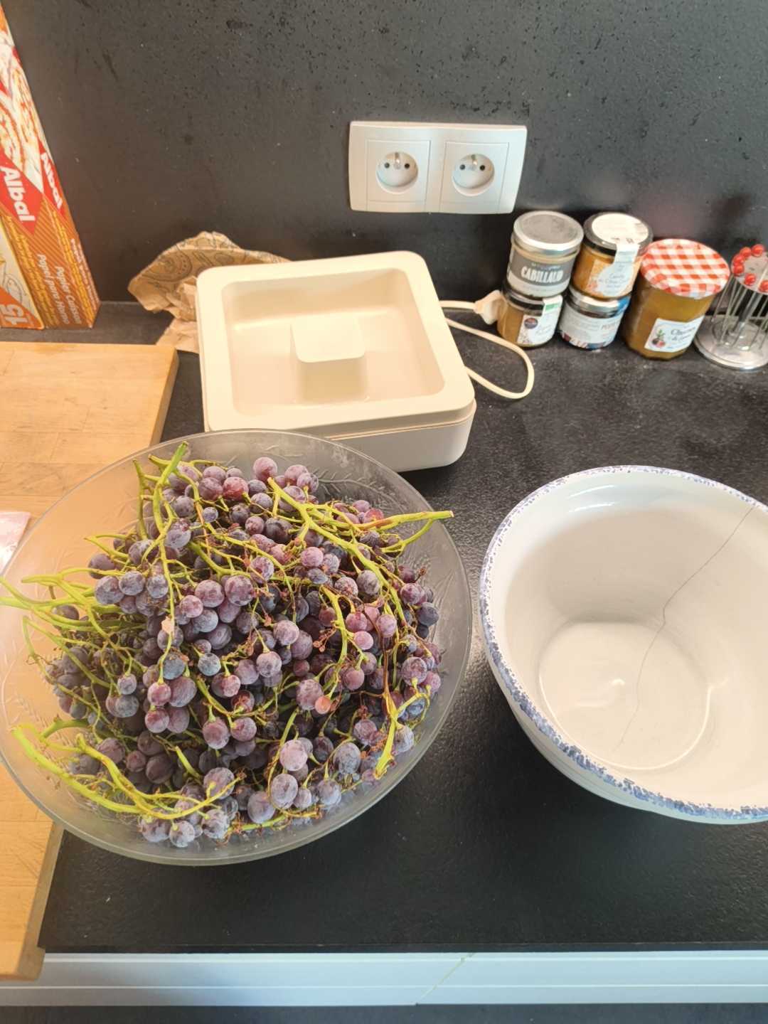 每年八月全民酿酒季:为自酿葡萄酒吵了9年的两派,我们对了一遍账,其实他们就认同这4点