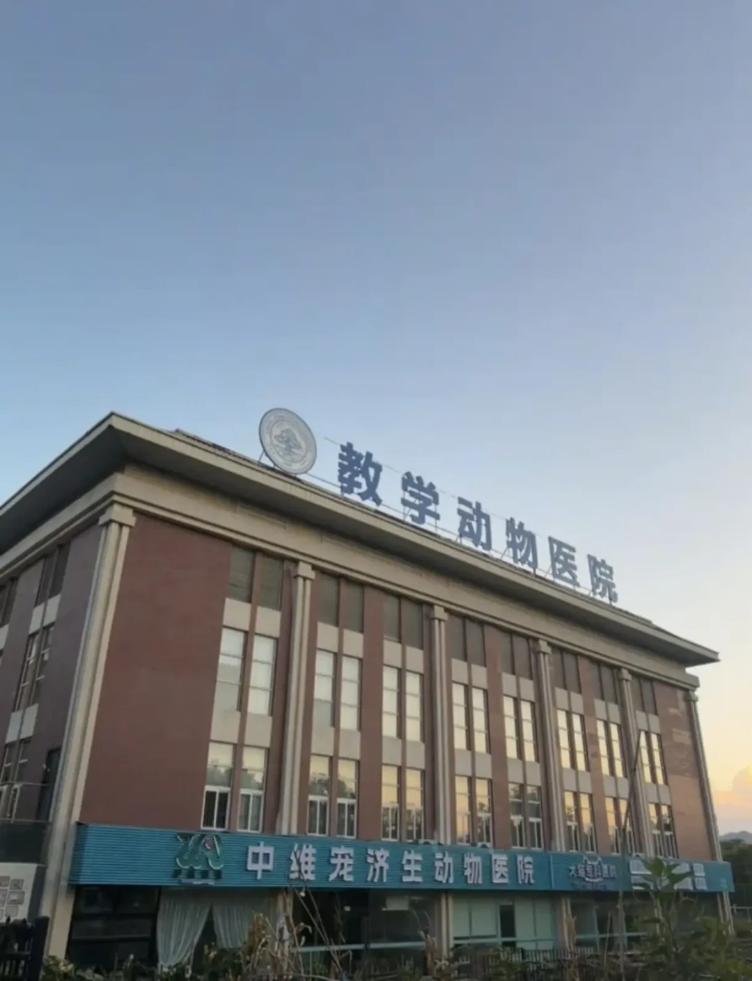 带宠上学第一批新生已被劝返:开学前想买猫带去学校,先把这三笔账算完