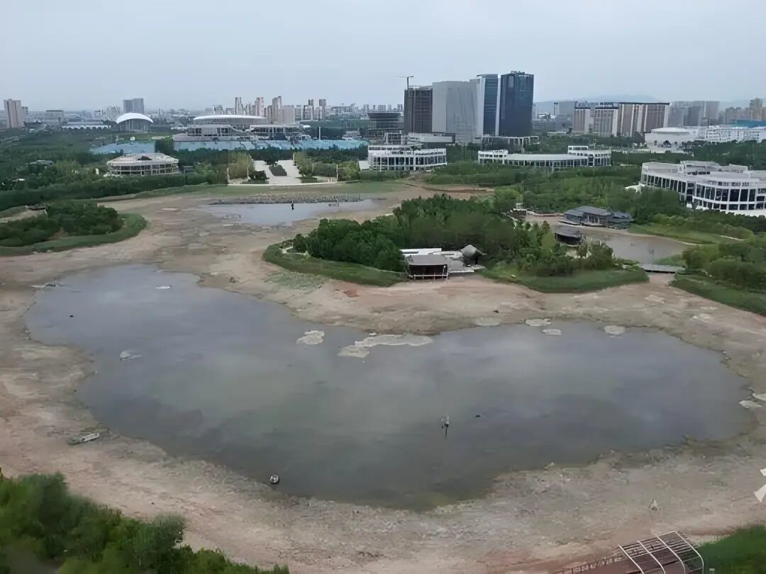 北龙湖的3米大鱼还没查清身份，但翻完这个夏天各地的鳄雀鳝事件：养不了的鱼，“放生”已经不是选项了