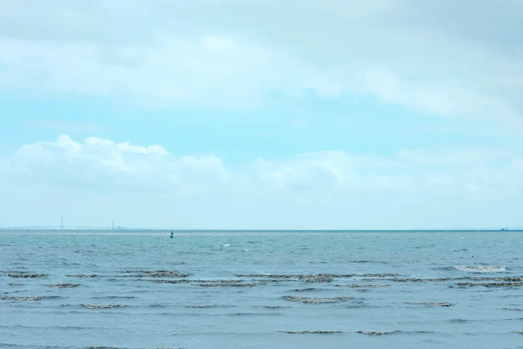 余华老家海盐,悄悄成了江浙沪的文学朝圣地:翻了近半年几十篇热门游记,路线、日出时间、避坑全整理好了