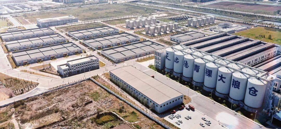 青稞成本涨了53%,但我判断天佑德短期不敢涨价:想囤青稞酒的人,这是个值得盯的窗口