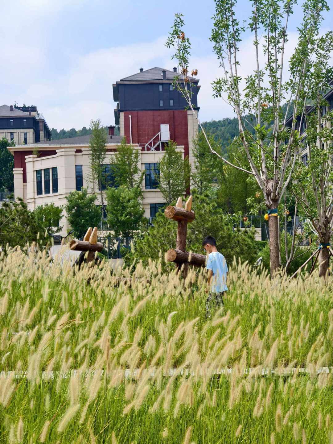 “秋天第一爬”刷屏,但立秋≠入秋:追仪式感之前,先看22℃这条线和你所在城市的入秋窗口期
