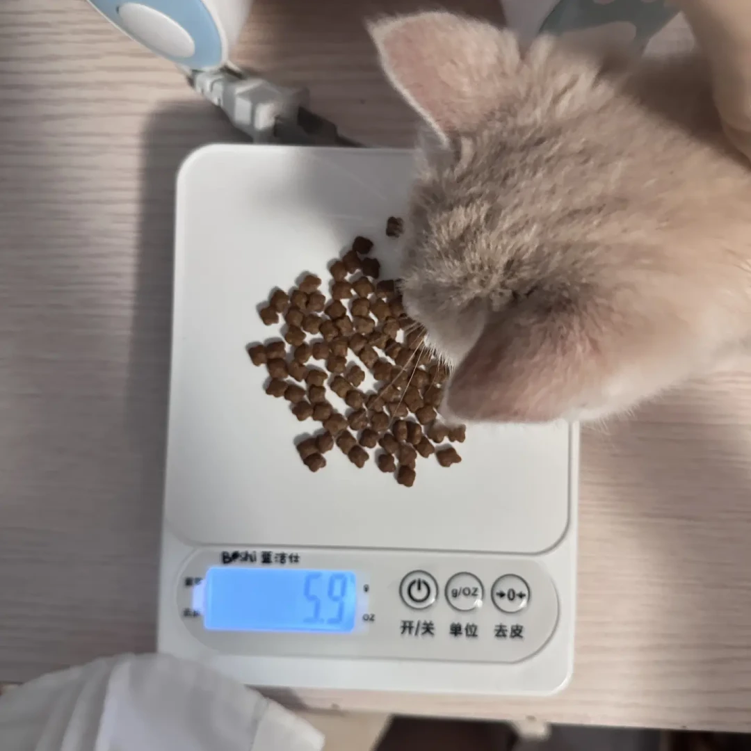 小猫的第一袋粮,还是皇家 K36 吗?涨价断货之下,渠道、成本账和 5 个防伪点一次说清