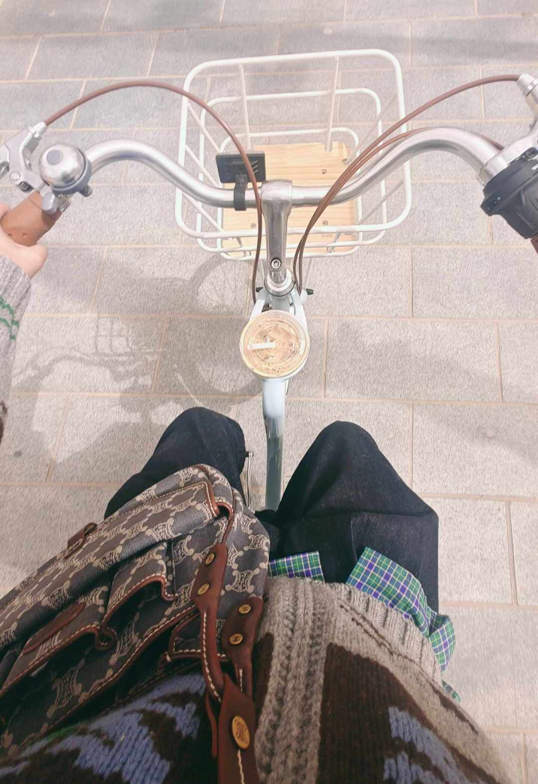永久自行车,一半人骂“垃圾”,一半说“骑回本了”:翻完几百条真实评价,我知道该信谁了