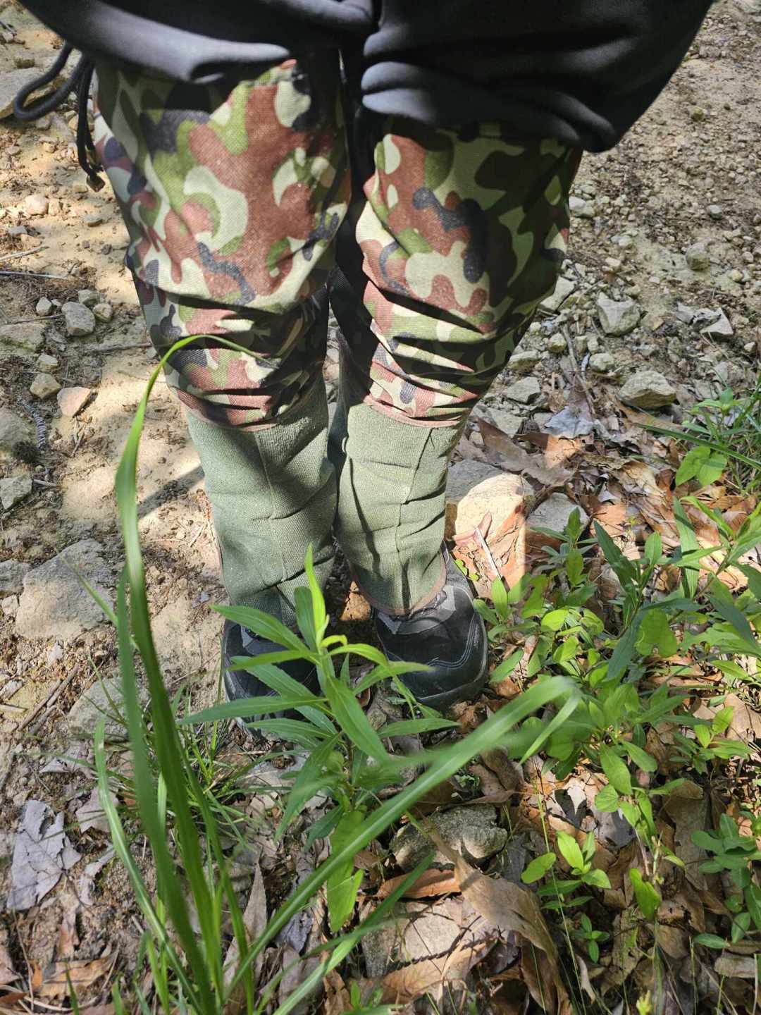 一个救回,一个没救住:这周被毒蛇咬的两个人,差的是头几步