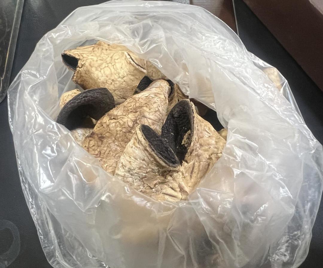 央视曝光