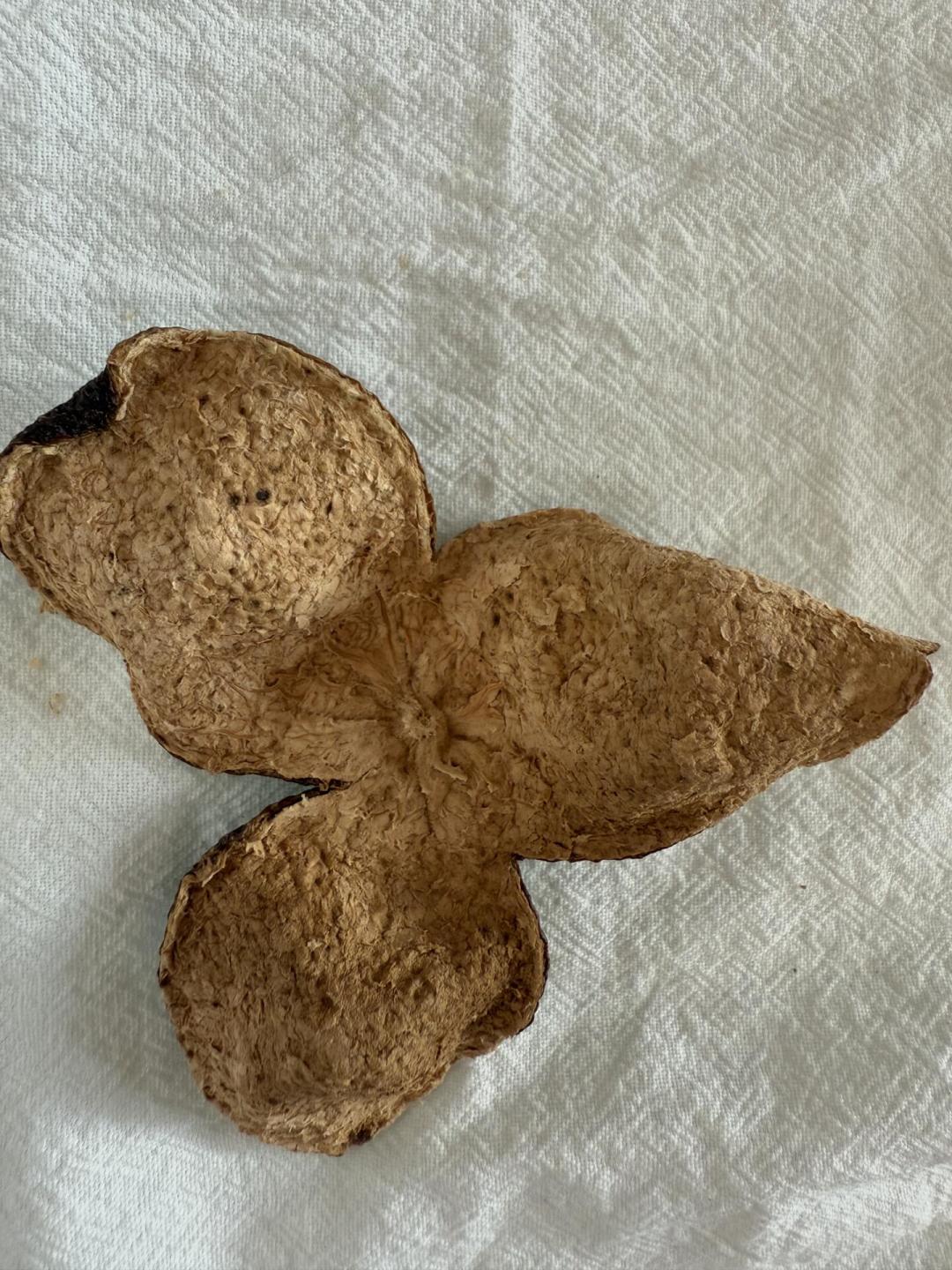 央视曝光