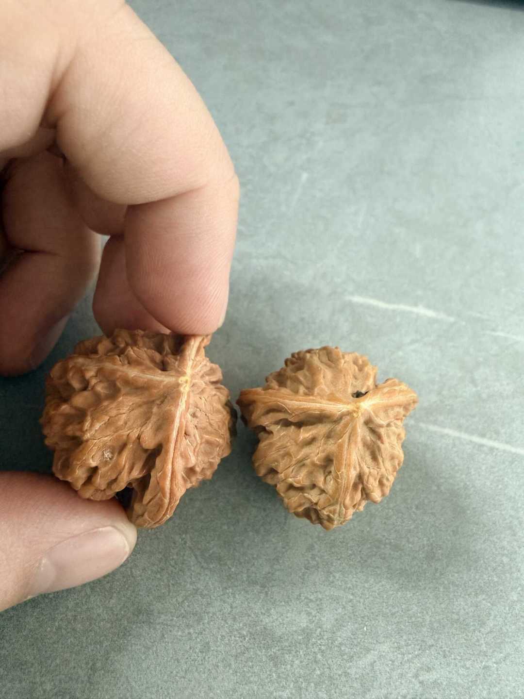 核桃下树季,