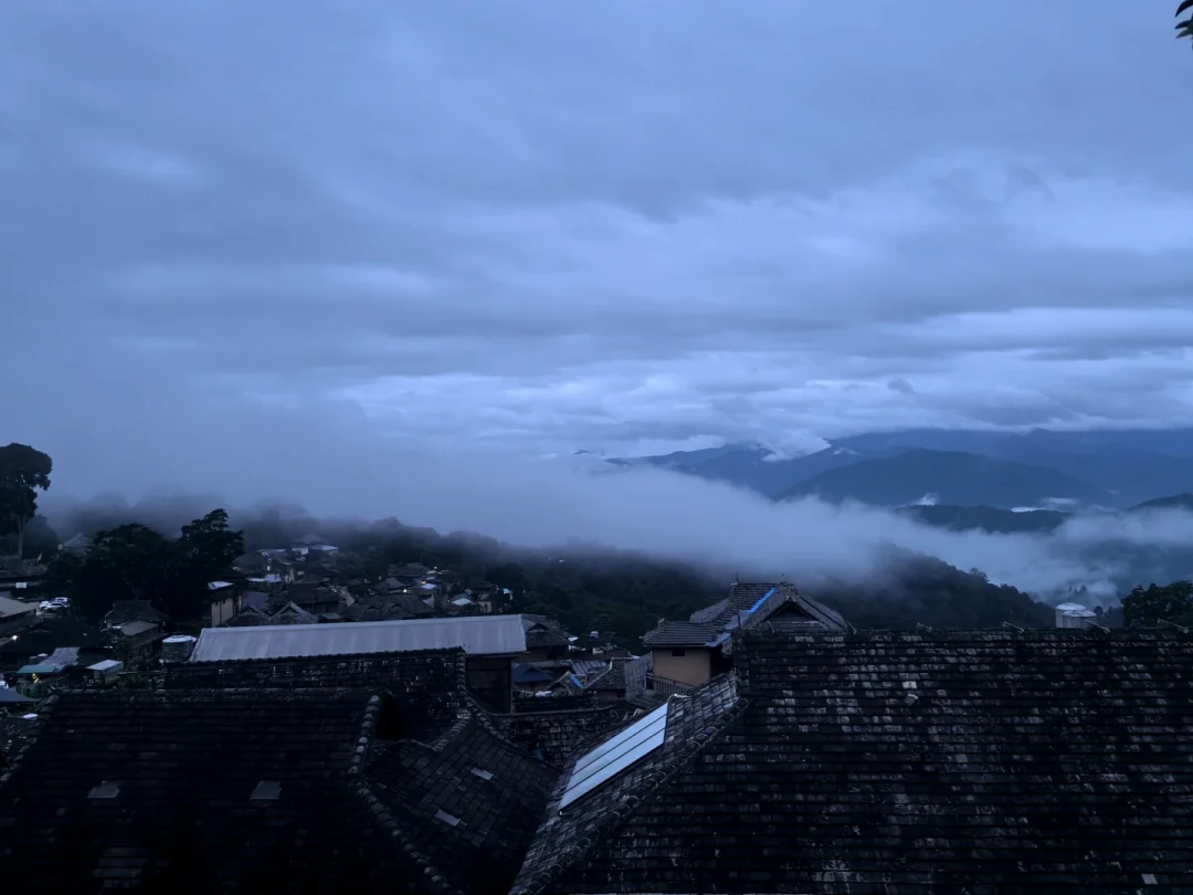 景迈山停水近一周,云海却铺满山谷:茶园旅游,选对时间比选对地方重要