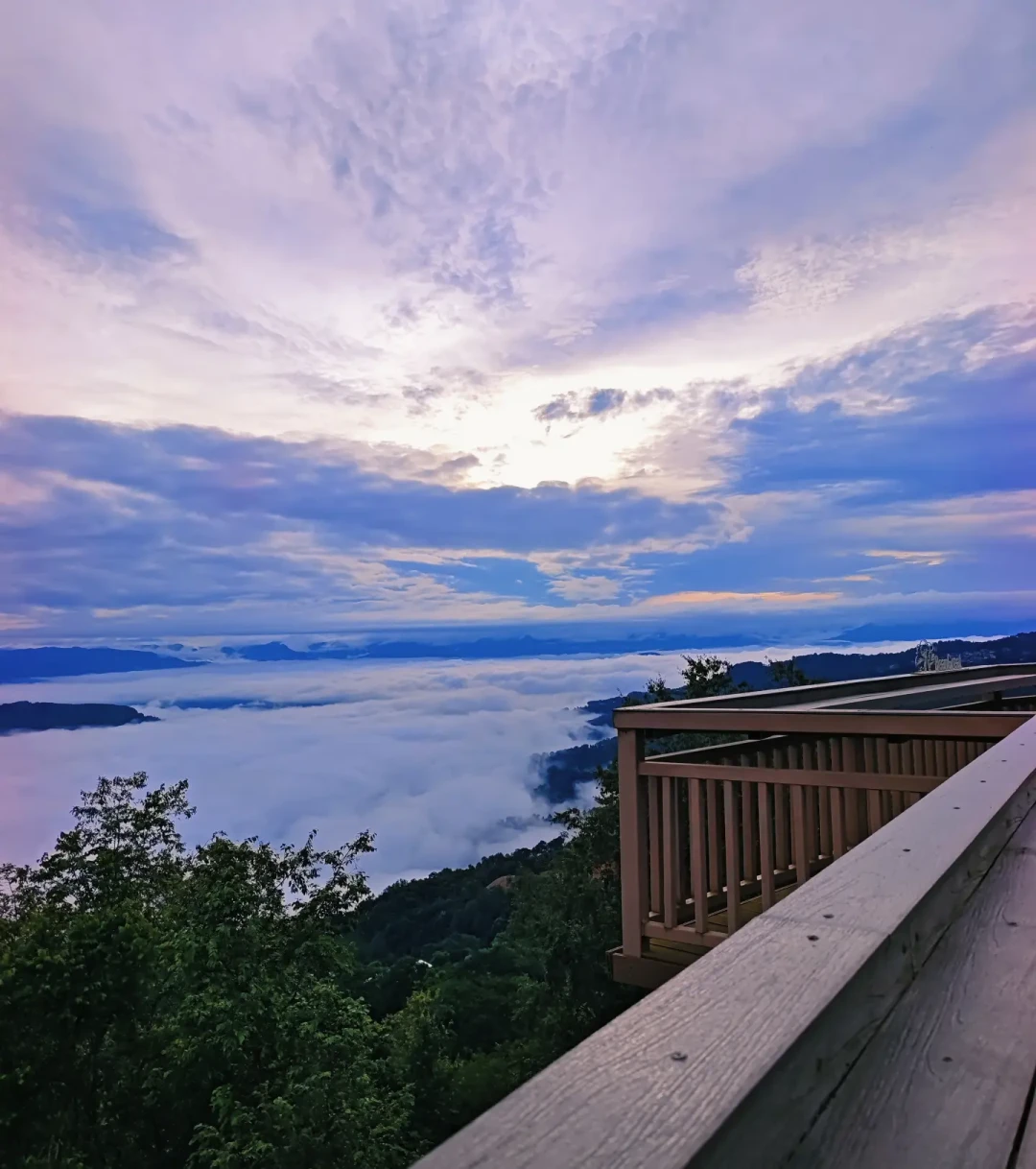 景迈山停水近一周,云海却铺满山谷:茶园旅游,选对时间比选对地方重要