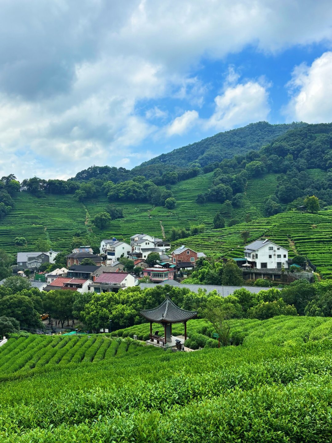 景迈山停水近一周,云海却铺满山谷:茶园旅游,选对时间比选对地方重要