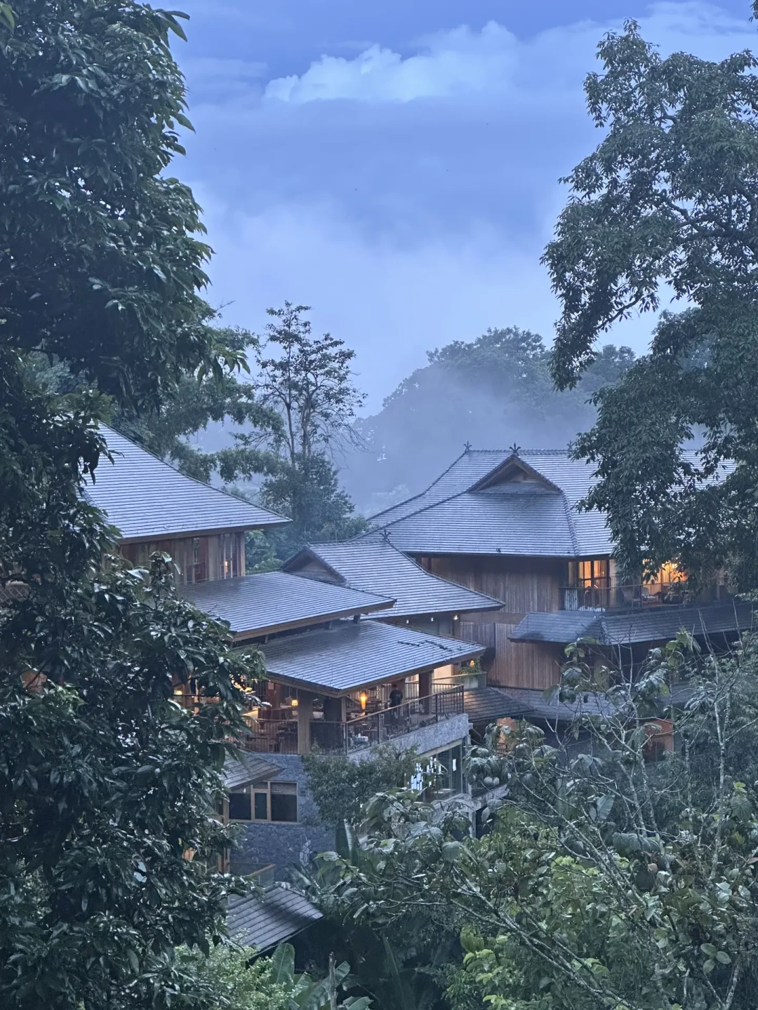 景迈山停水近一周,云海却铺满山谷:茶园旅游,选对时间比选对地方重要