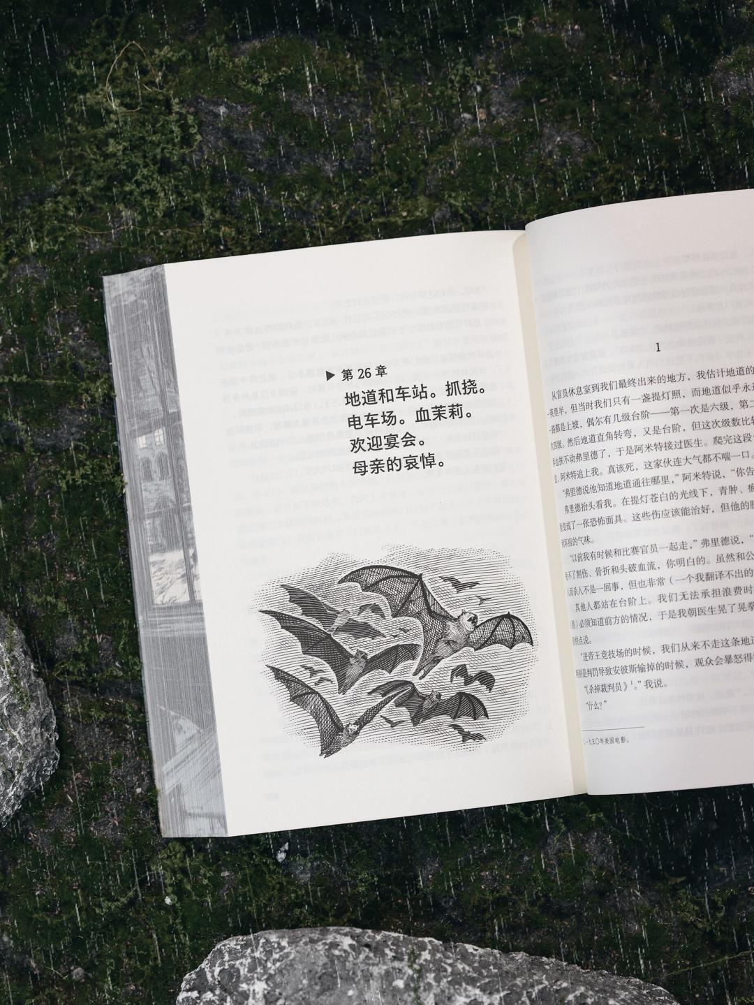 斯蒂芬·金的600页《黑童话》：有人被治愈，有人打2星骂