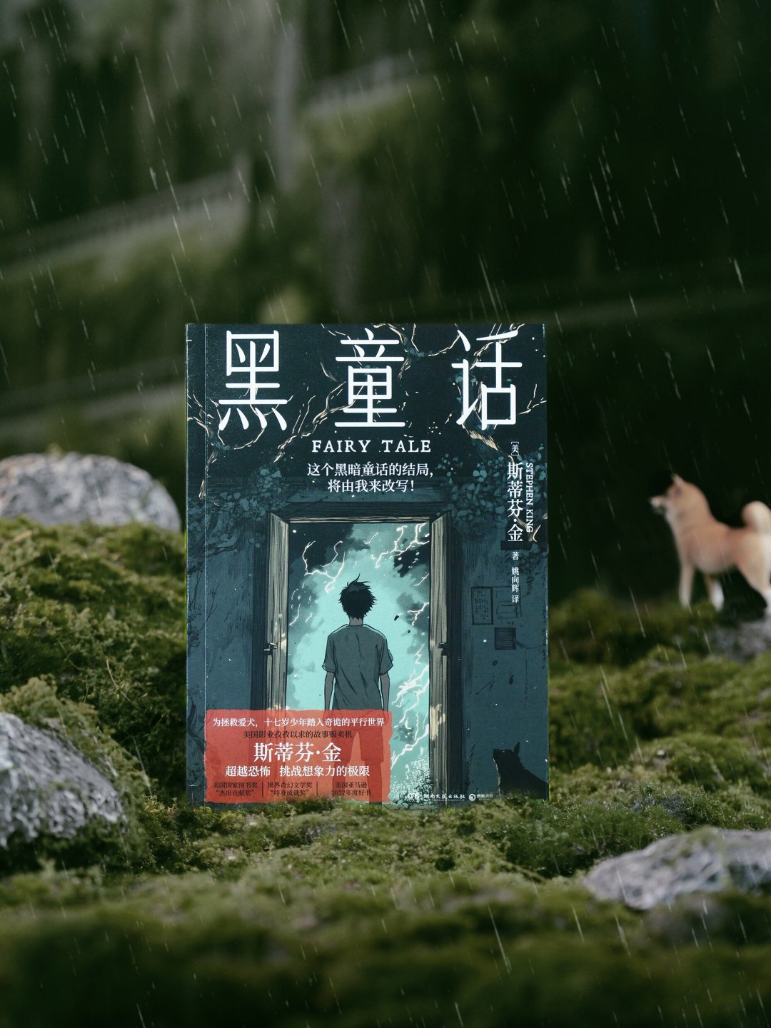 斯蒂芬·金的600页《黑童话》：有人被治愈，有人打2星骂