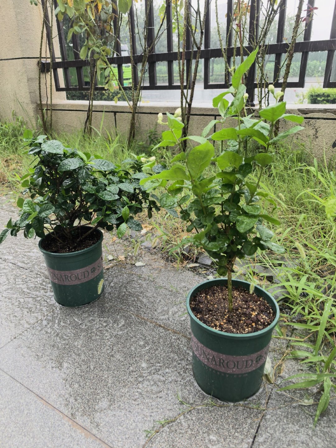 9.9包邮