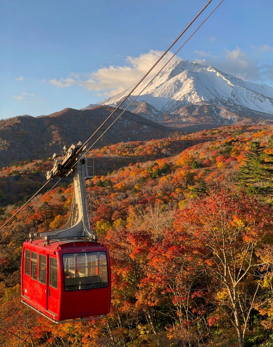 北海道的红叶不等国庆:旭岳9月中旬开场,札幌市区要等到11月初,用你的假期倒推