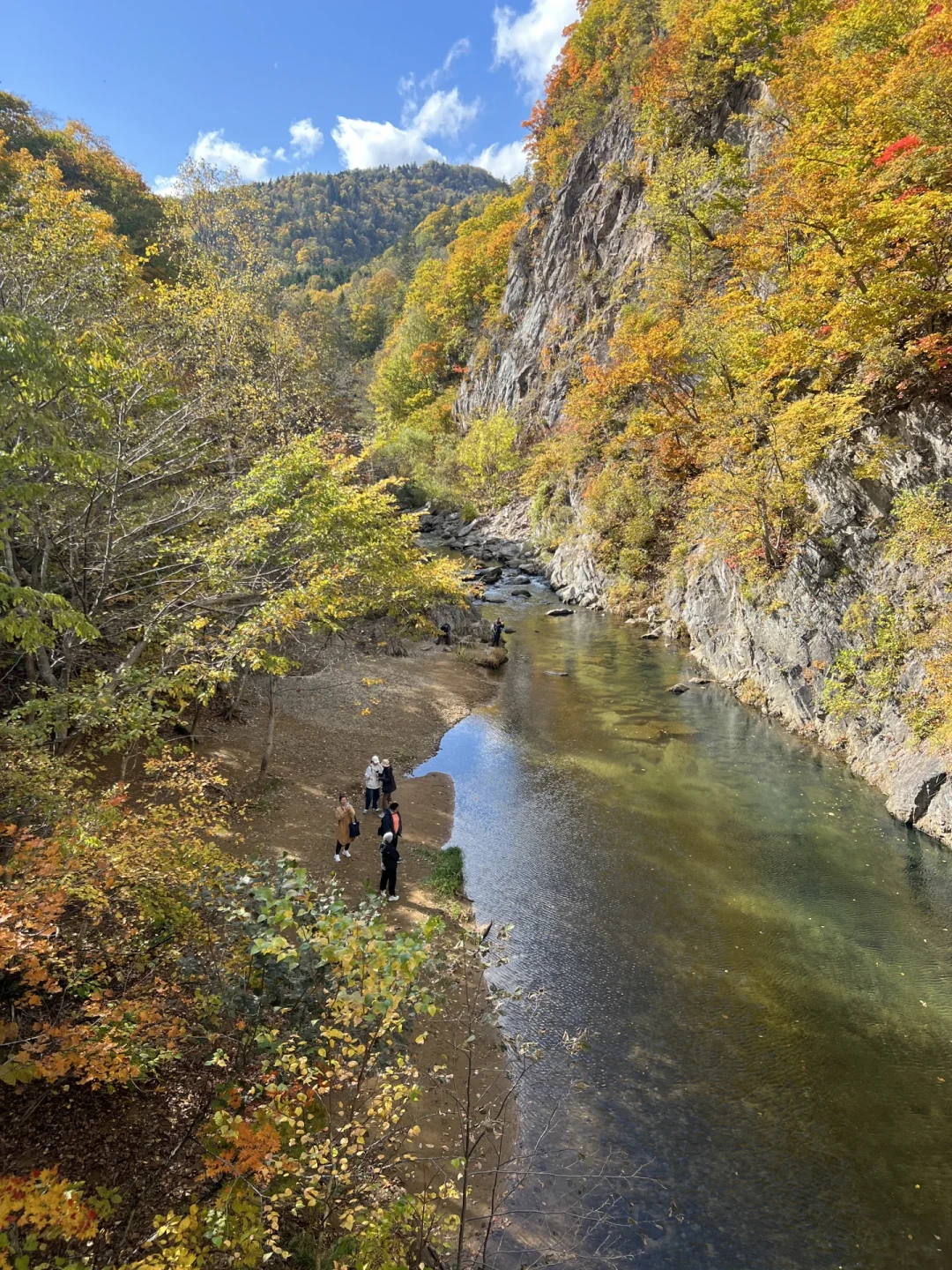北海道的红叶不等国庆:旭岳9月中旬开场,札幌市区要等到11月初,用你的假期倒推