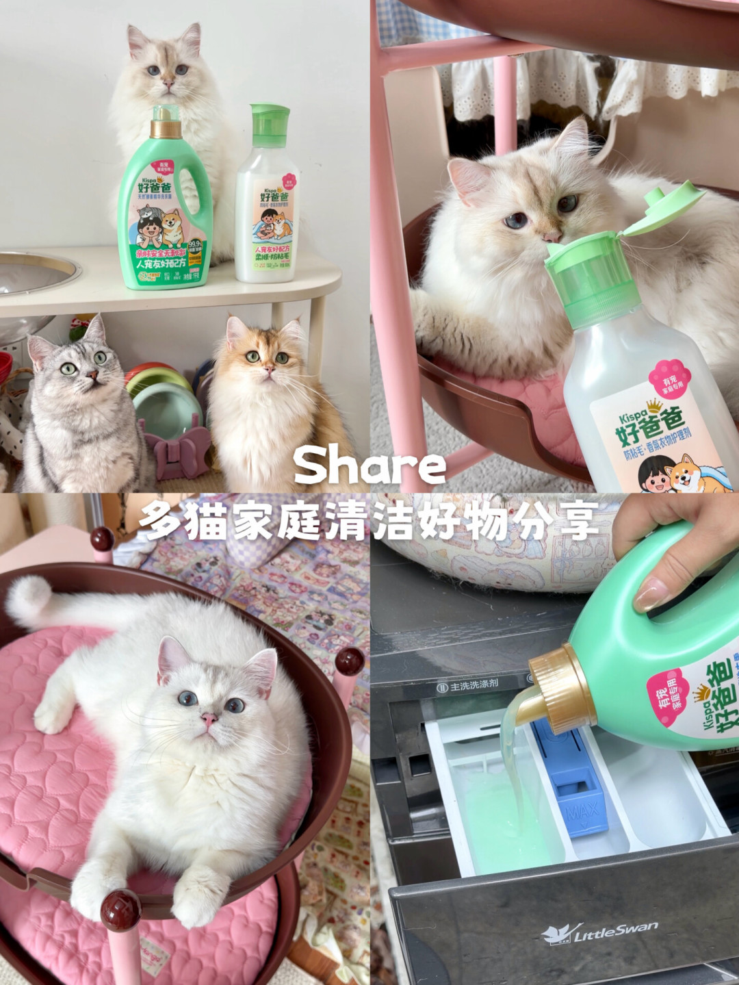 好爸爸在亚宠展支了个摊,