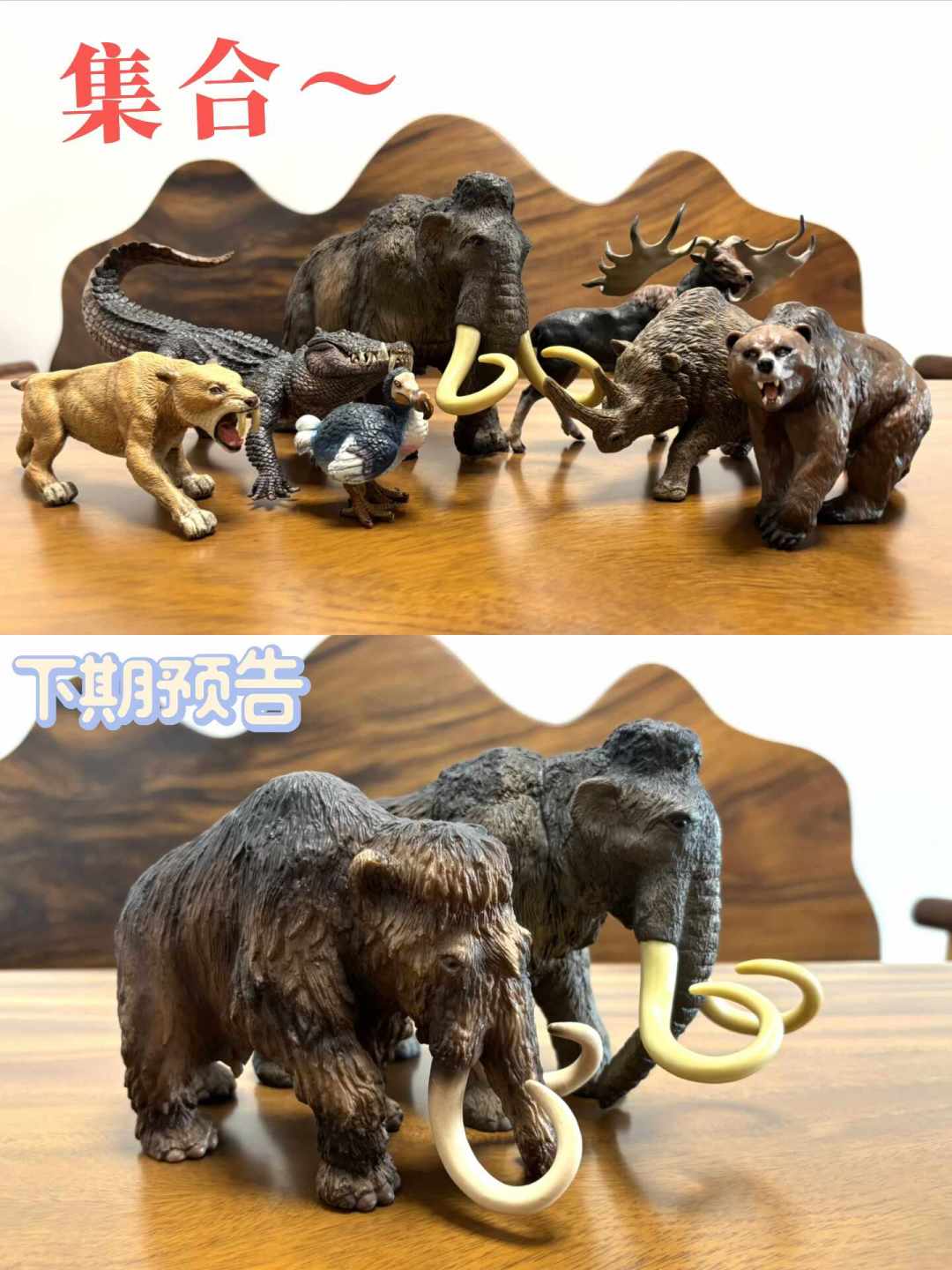 想要的那只已经绝版了?我把动物模型圈的“绝版市场”翻了一遍,渠道、价位和坑都整理出来了