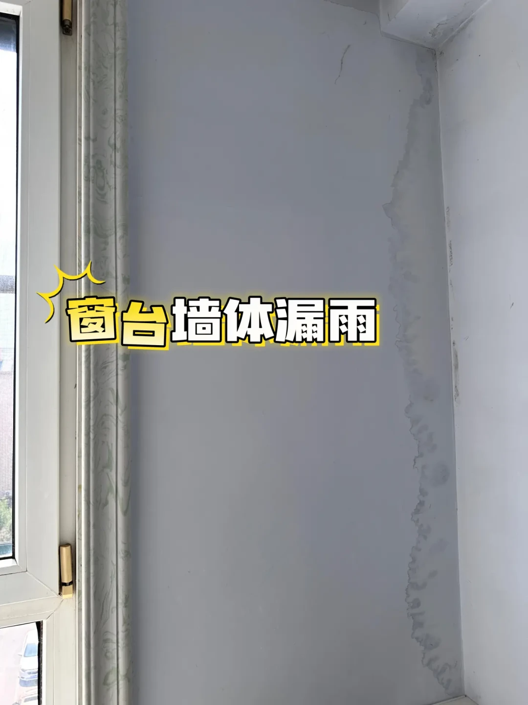 墙面发霉擦了又长?先分清3种霉再动手:60块除霉,200块根治,区别在第一步