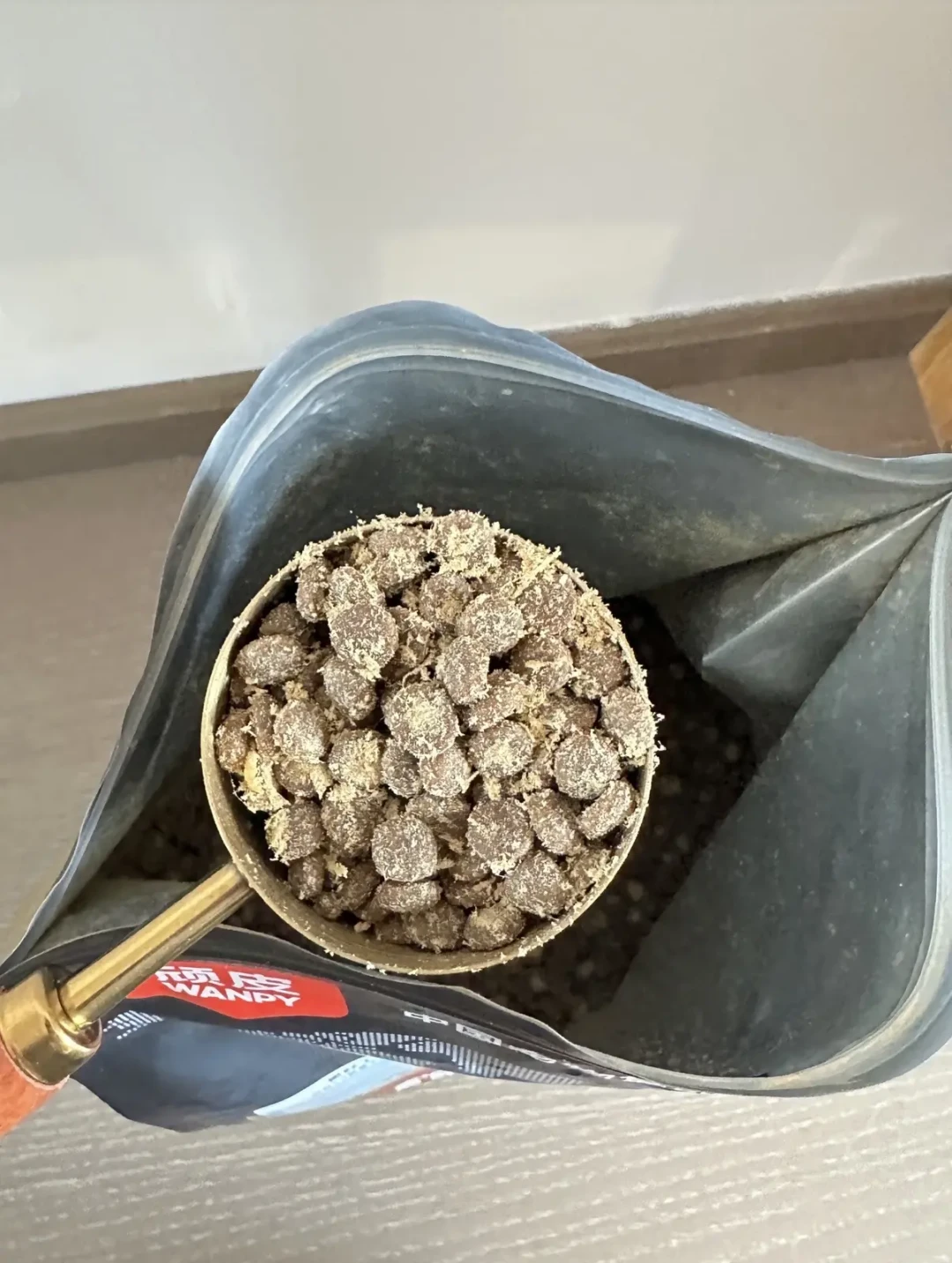 金故猫粮被曝“机油块”后正在换粮：猫不吃新粮别硬饿，绝食红线、四步过渡和选粮清单一次说清