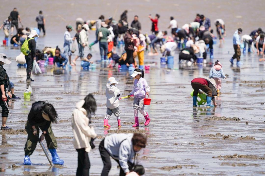 短视频里的“爆笼神器”,也是执法收缴榜第一:下单捉鱼装备前,先搞懂这条线