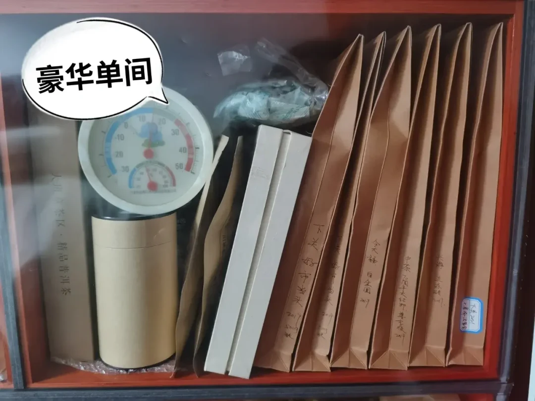 同一饼普洱,东北存20年和广东存20年,完全是两种茶:家庭存茶南北对照