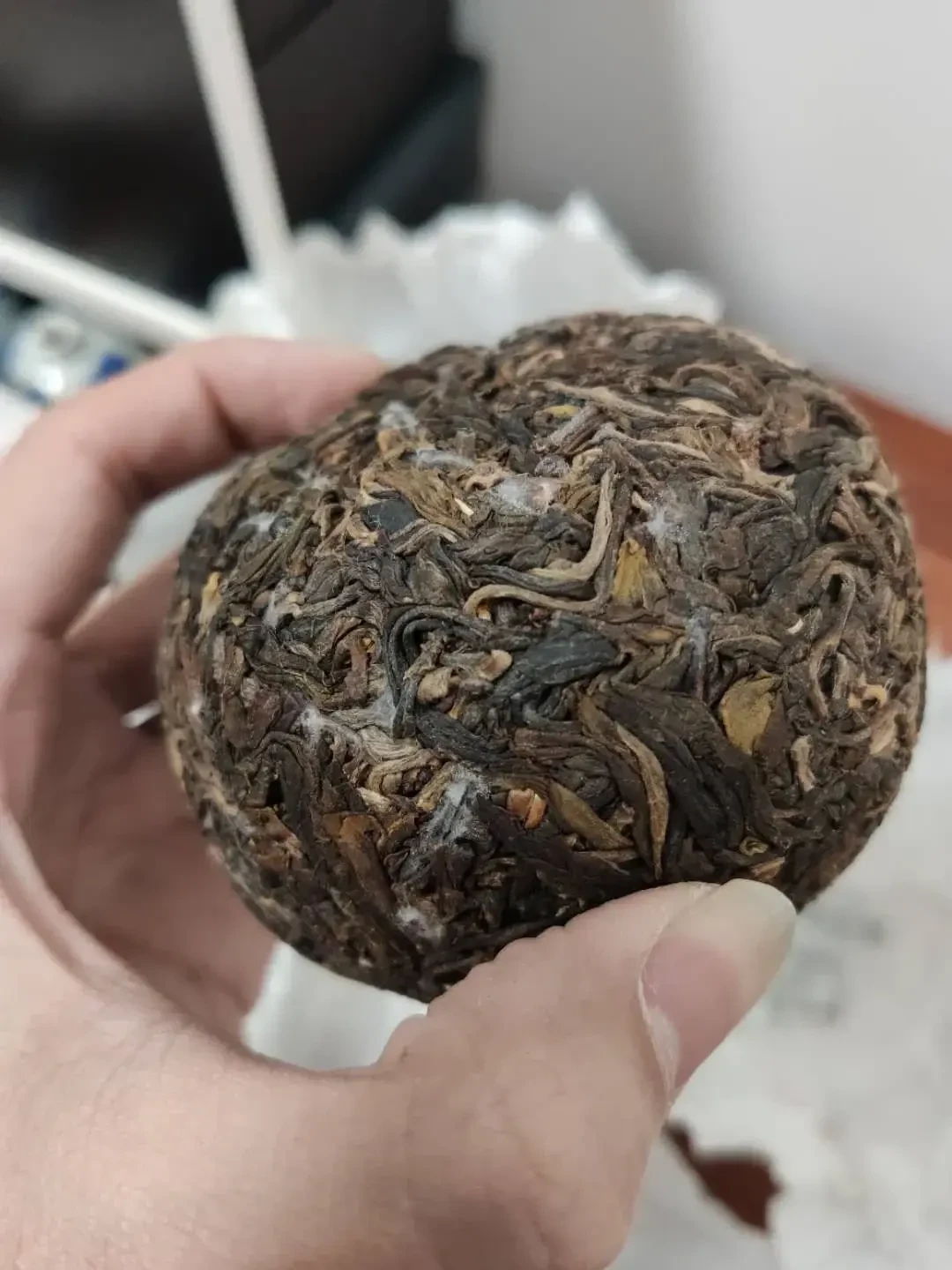同一饼普洱,东北存20年和广东存20年,完全是两种茶:家庭存茶南北对照