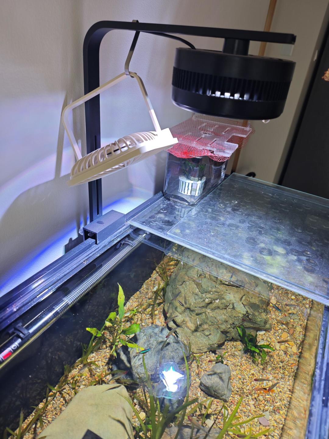 鱼缸水温逼近30℃,先别扔冰:五种降温方案的效果、花费和选择,一篇讲清