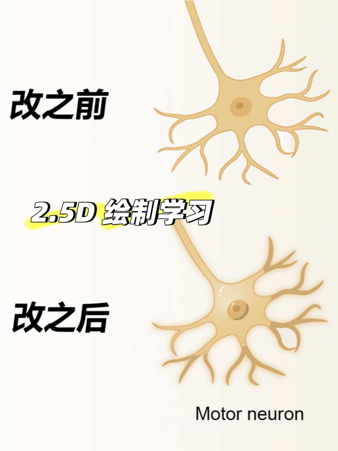 BioRender 会员先别急着充:这 4 条