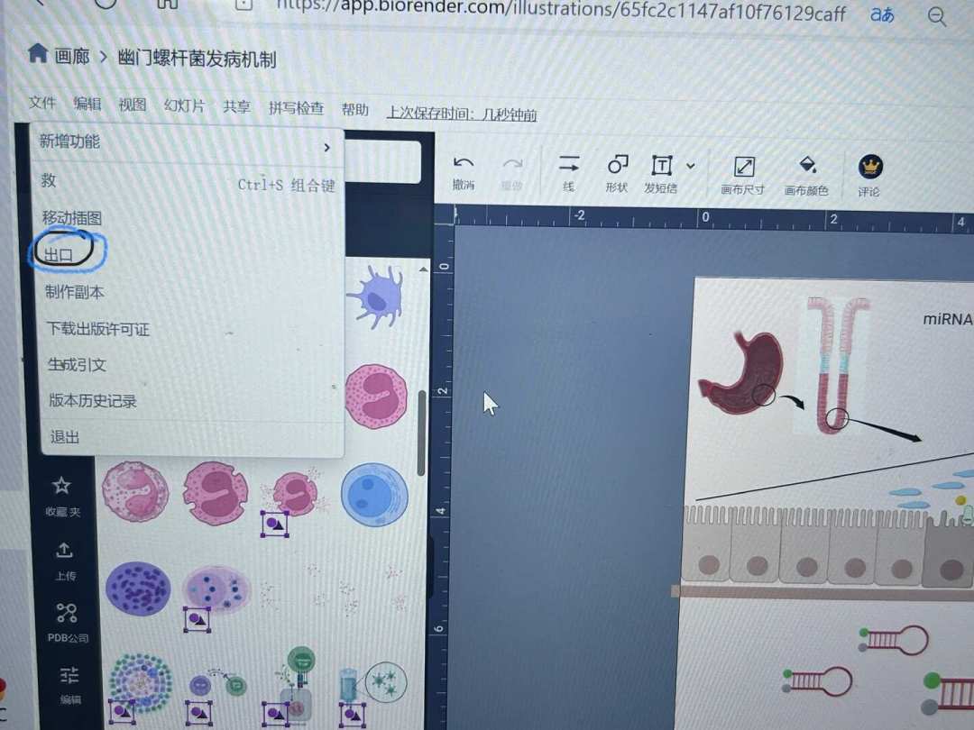 BioRender 会员先别急着充:这 4 条