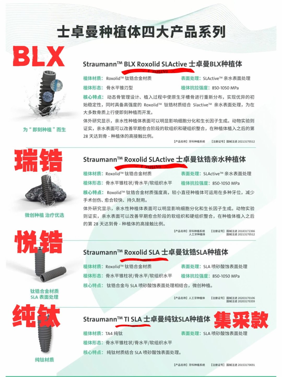 种牙报价里的