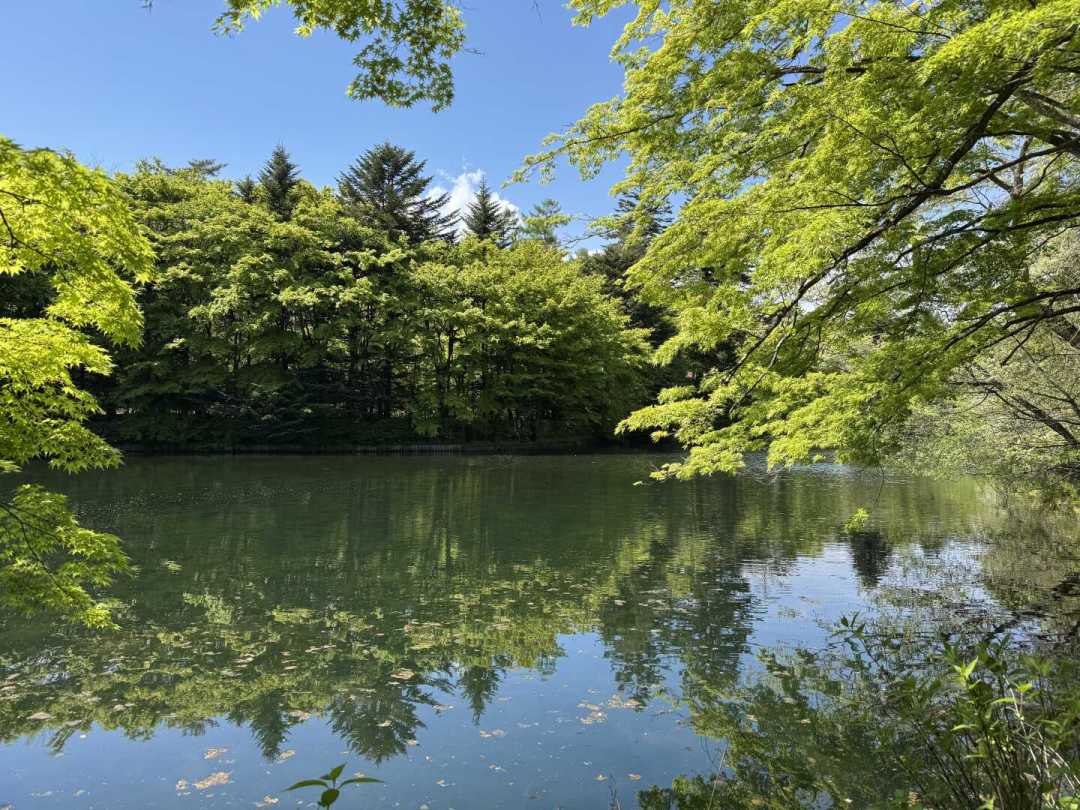 轻井泽换季了:避暑季收官、红叶季排片,三个时间窗口哪个最值