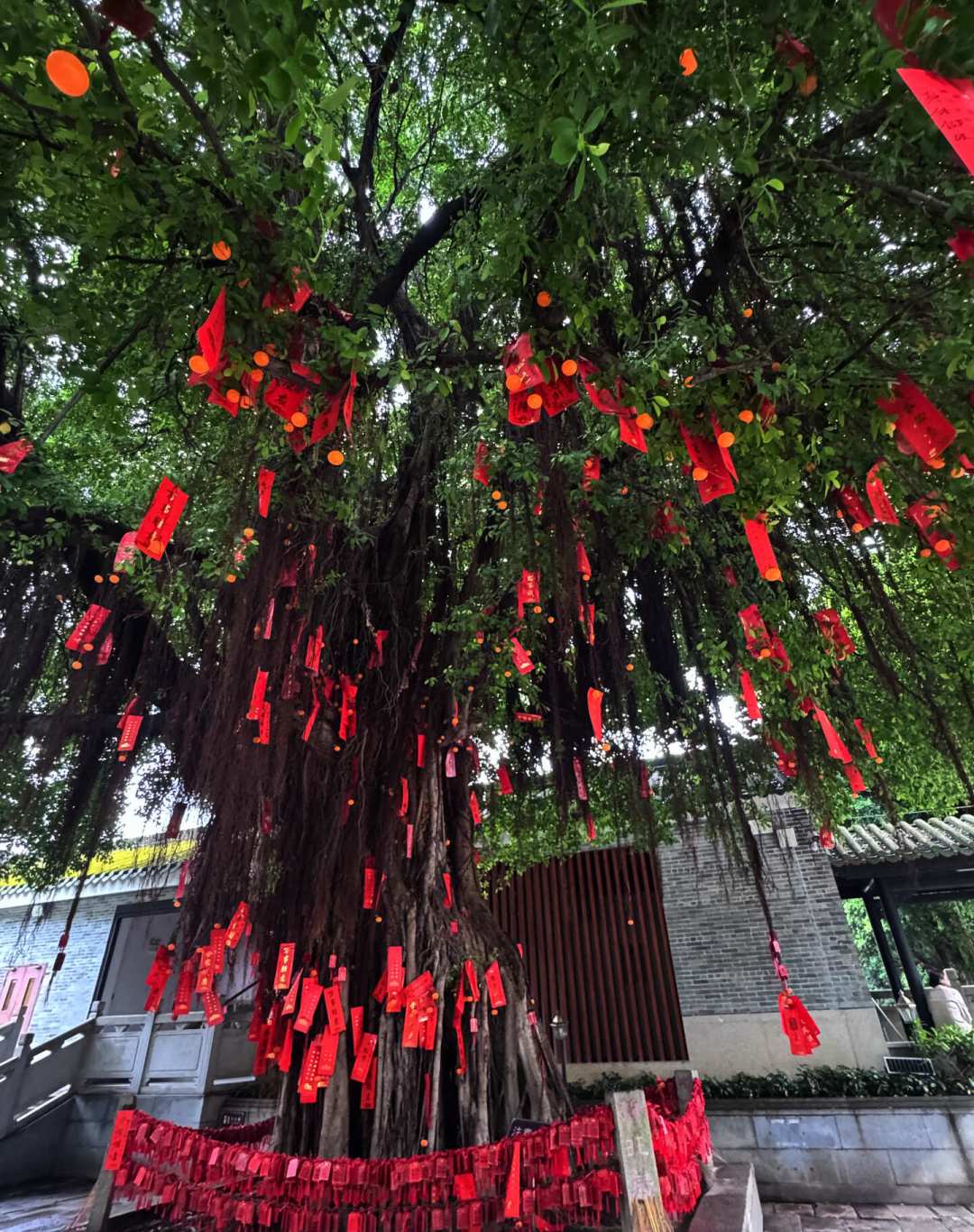 祖庙这两天刚换了批展览:新展昨天开幕,爆款已闭展,暑假最后一周别照旧攻略走