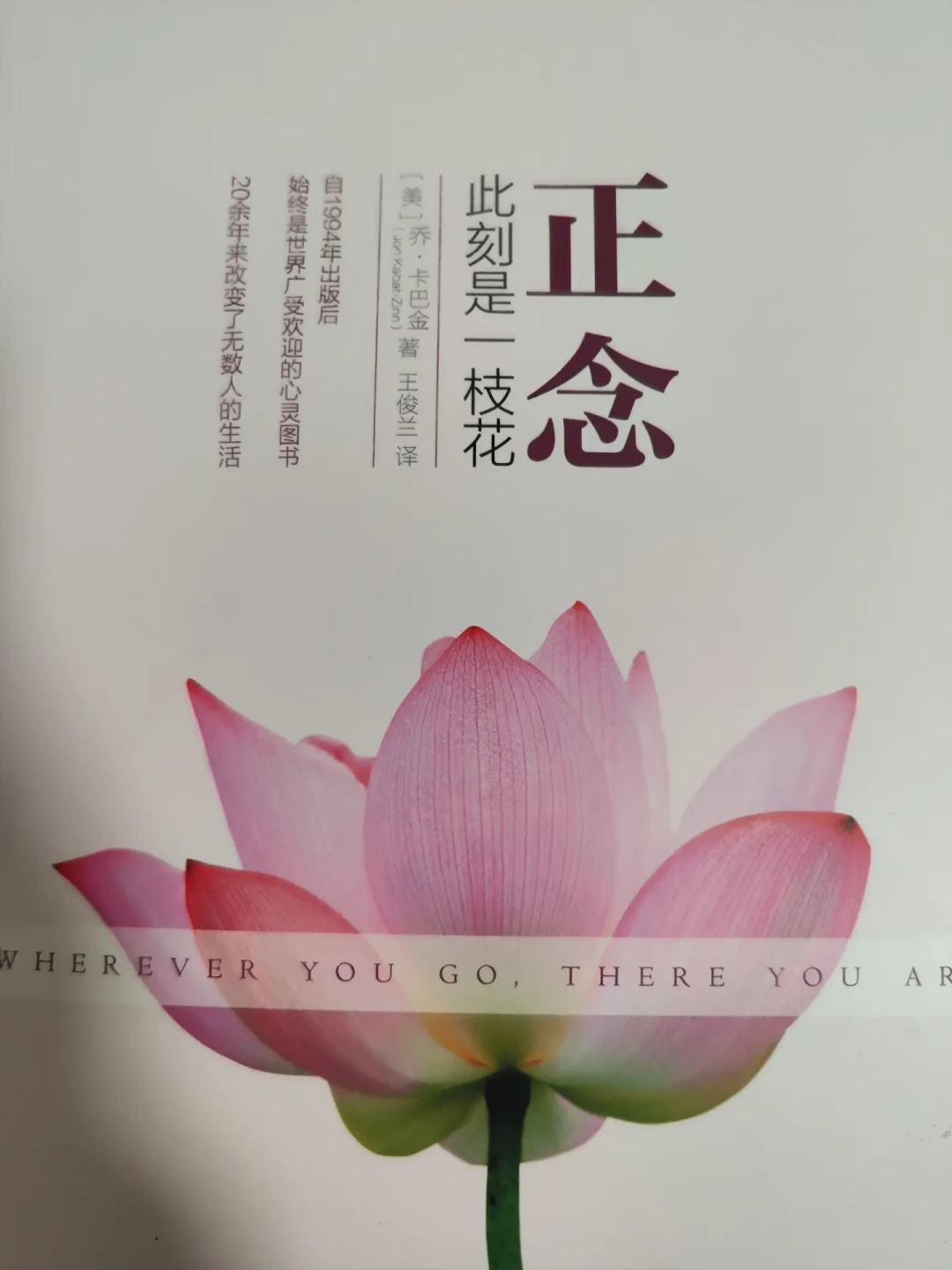 6.6万人收藏了卡巴金的讲课视频:免费资源、书钱和上万的师资班,到底该为什么付费?