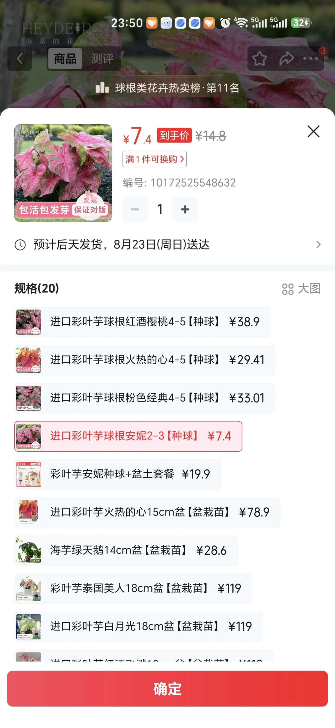 20块的种球能长出脸大的叶子,但季末的彩叶芋