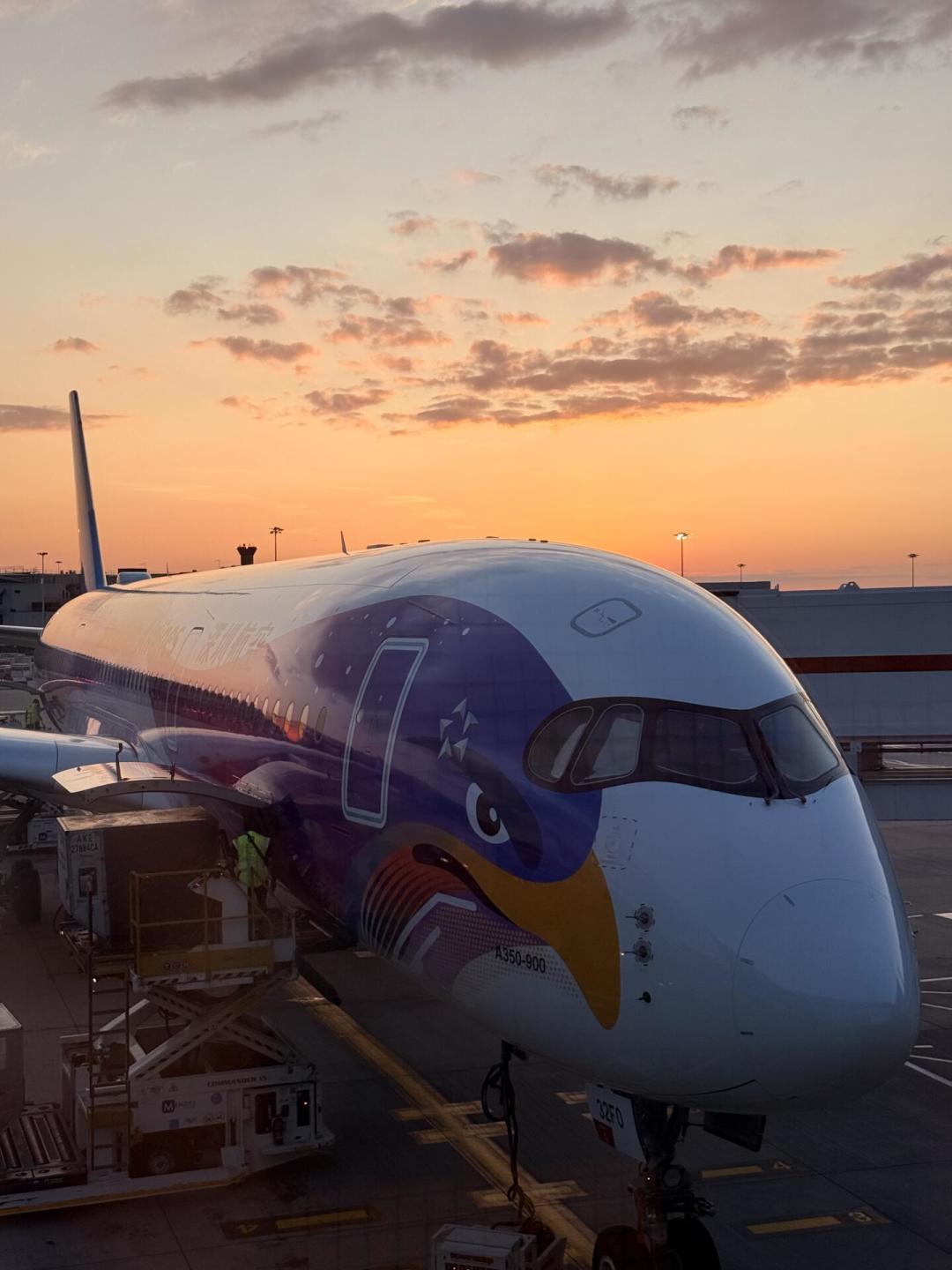 深航A350执飞伦敦线只在周一、三、六:买票前先确认机型,别错上A330