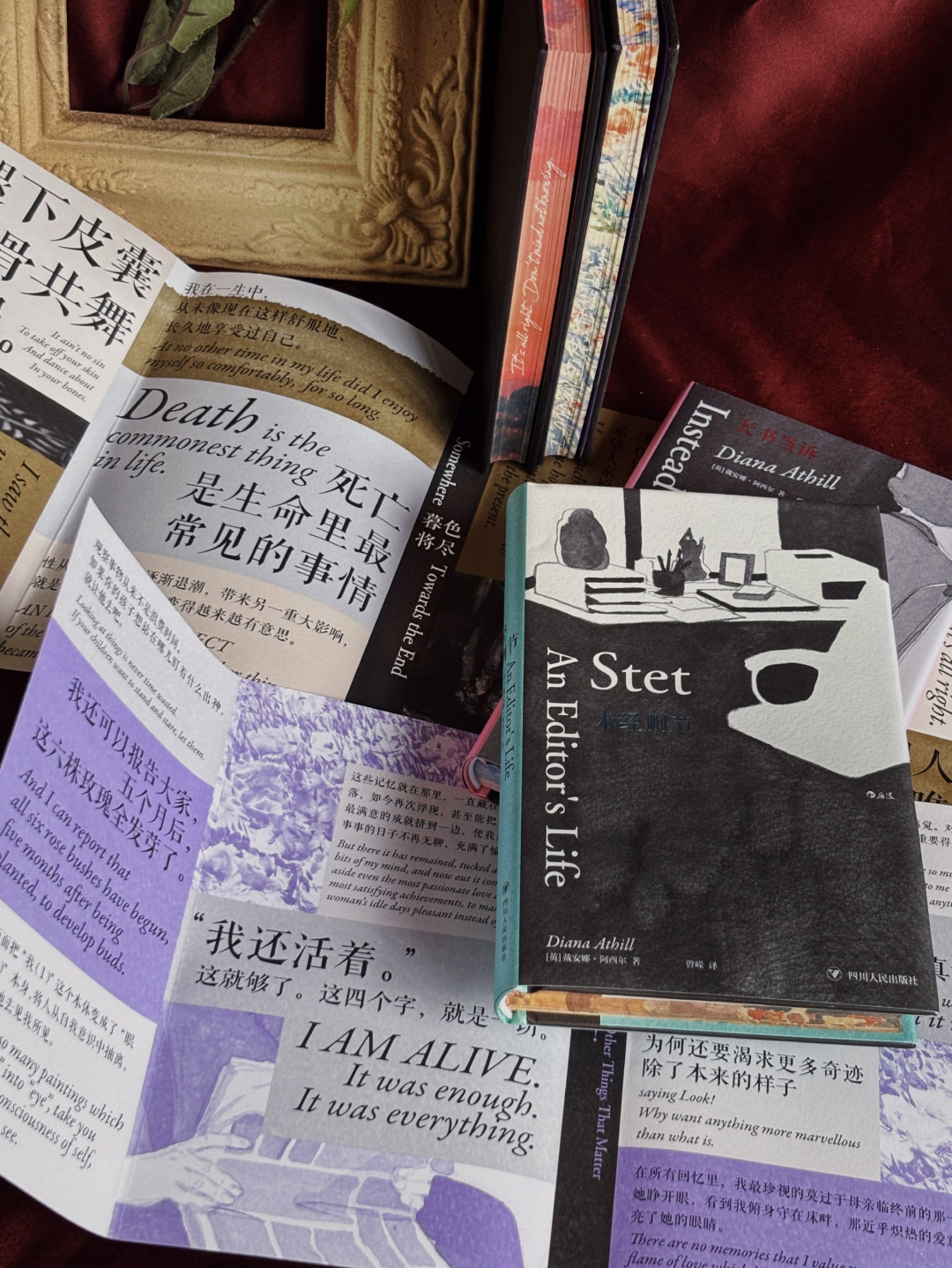 刷屏的“76岁才开始写作”是假的：戴安娜·阿希尔四本书买不买、怎么买，先搞清楚这三件事