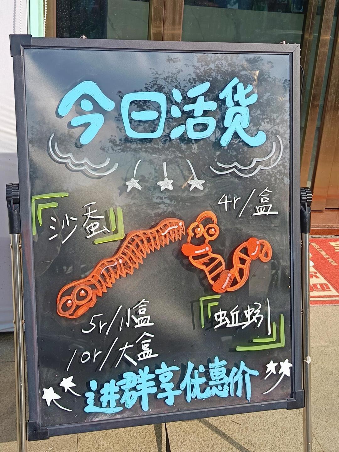 台风刮跑日本鱼饵：一袋青沙蚕从660日元涨到950日元，国内钓友要不要也囤？